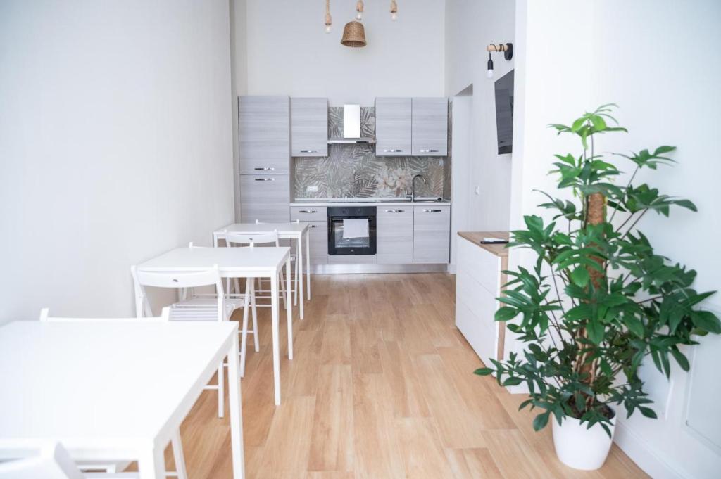 B&b con camere climatizzate vicino porto di Livorno